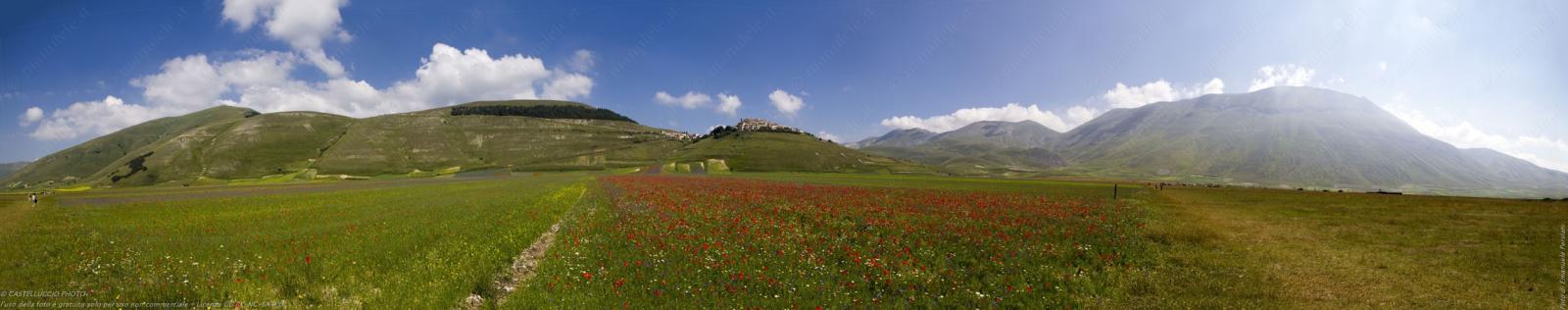Panorama della fioritura a Castelluccio